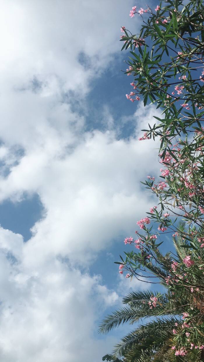 青石板踏步石，汀步石花園草坪庭院裝飾園林景觀防滑踏腳石鋪路地